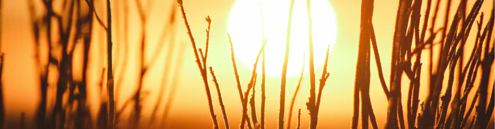 Bundle: A Gyönyörű Te  - Online Course by Learn It Live